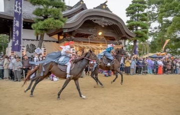 午の年 勝馬「大浦神社の昼競馬」 昼食は職人の味が味わえる「魚好人一休」